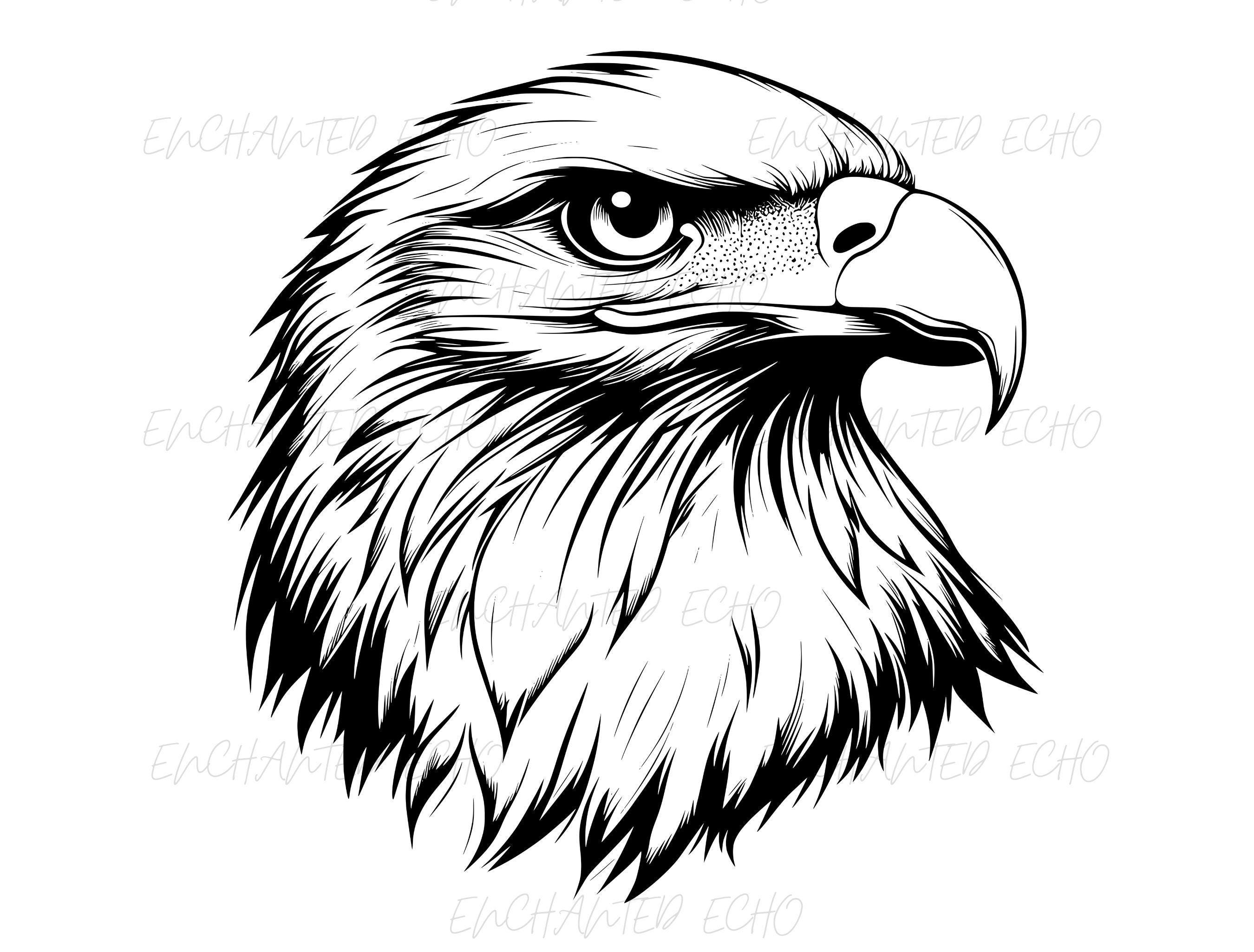 Bald Eagle Head SVG + PNG Set - American Eagle Face Clipart (digital ...