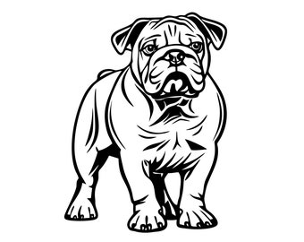 Bull Dog SVG + PNG Set - Bulldog Clipart, Standing Dog Breeds Sublimation