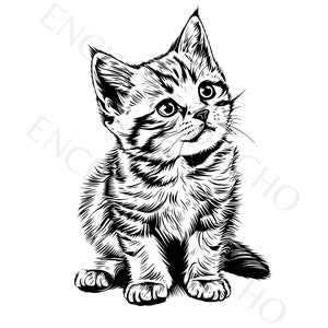 Cute Kitten SVG and PNG Set - Cute Kitten Svg - Tabby Cat Svg - Realistic Kitten Png - Cute Cat Svg - Kitten Illustration for Commercial Use