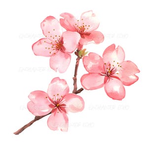 ピンクの水彩画の桜の枝PNG、咲くピンクの桜の昇華水彩画の花びらPNG、桜の枝PNG、桜の木