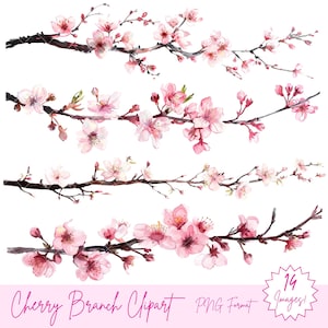 Conjunto de imágenes prediseñadas de ramas de flor de cerezo - 14 PNGs de ramas de cerezo de acuarela - Hermosas imágenes florales - Bordes de ramas de cerezo de alta calidad