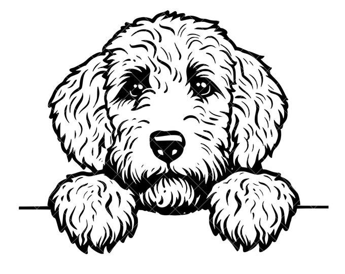Peeking Goldendoodle SVG + PNG Set - Peeking Golden Doodle Dog Clipart ...