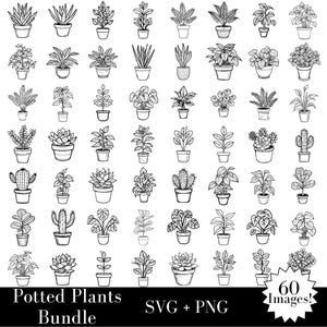 Zimmerpflanzen SVG & PNG Bundle - 60 Zimmerpflanzen enthalten, 120 Dateien insgesamt - Zimmerpflanzen Vielfalt Pothos Geige Blatt Feige Philodendron