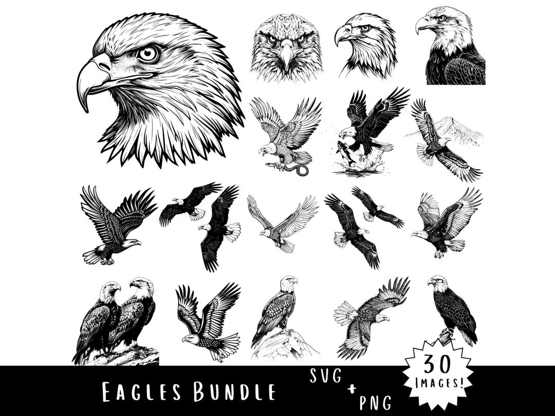American Bald Eagle SVG + PNG Bundle – Patriotic Bird Graphics Bundle ...