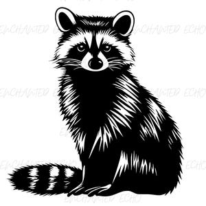 Raccoon Silhouette SVG + PNG - Cute Raccoon Sitting Svg Charming Raccoon Clipart Raccoon Png Raccoon Sublimation Nocturnal Woodland Png
