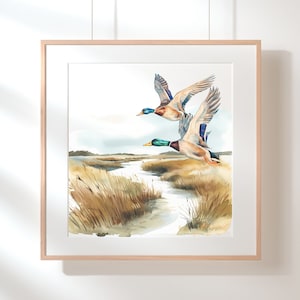May include: A watercolor painting of two mallard ducks flying over a marsh. The ducks are brown and green with blue wings. The marsh is painted in shades of brown and green.
