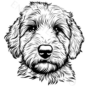 Imagen SVG de cachorro Goldendoodle, archivo SVG de perro Goldendoodle bebé, descarga digital de alta calidad, tarjetas PNG de Goldendoodle, ropa, hogar, doodle Svg