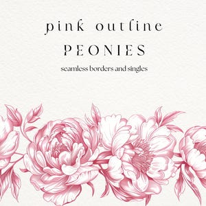 Rosa Pfingstrose Clip Art Borders + Sträuße - Pfingstrose Fine Line Floral Png - Blush Rosa Blumenrand - Hochzeit Clipart - Kommerzielle Nutzung