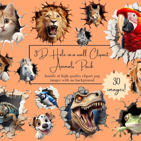 Clipart 3D avec trou dans un mur, 30 images PNG, clipart animaux 3D de haute qualité, clipart à usage commercial de haute qualité, trou dans un mur en PNG, dessins au format PNG HD