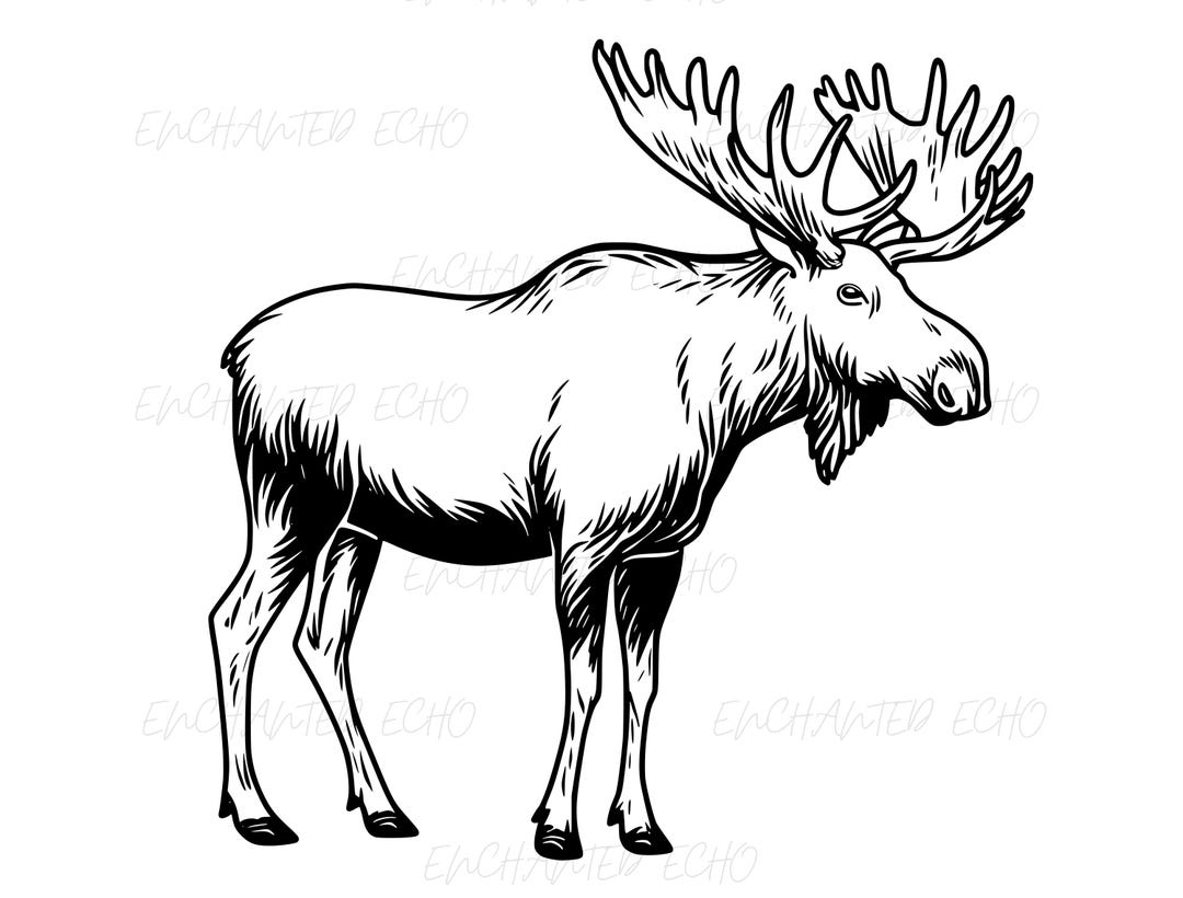 Moose Riders Svg Moose SVG + PNG Set - Etsy