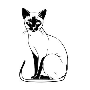 シャム猫のSVGとPNGセット - 座っているシャム猫のPNG - 猫の品種のSVG - シャム猫のPNG - シャム猫のクリップアート - 猫のSVGファイル - ポーズをとる猫のSVG