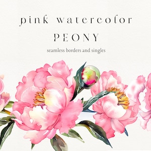 Aquarell Rosa Pfingstrose Clipart Rahmen + Trauben + Singles - Pfingstrose Png - Blush Rosa Blumenrand - Hochzeit Clipart - Kommerzielle Nutzung