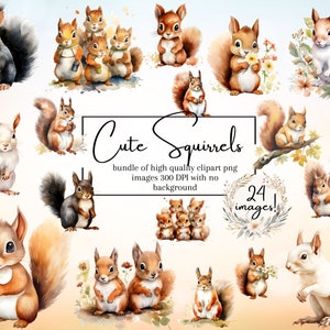 Écureuils mignons Clipart écureuil mignon aquarelle Clipart écureuil png 24 Images 300DPI à usage commercial inclus Animauxclipart graphiques mignons