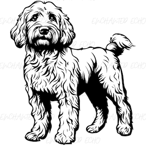 Stehender Goldendoodle SVG + PNG Set - Golden Doodle Hund Silhouette Cute Doodle Png Doodle Welpe SVG Golden Doodle Design Goldener Hund Clipart