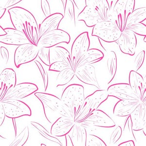 Può includere: Motivo senza cuciture con fiori di giglio rosa stilizzati su sfondo bianco. Il design presenta contorni di gigli e petali sparsi, creando un tema floreale e botanico. I fiori hanno linee di petali e stami dettagliati.