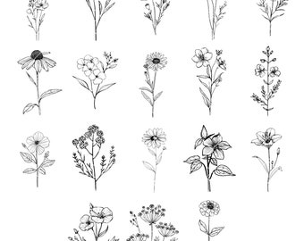 Wildflower Illustrations SVG + PNG Bundle – Delicate Floral Outline Clipart Bundle, Flowers Sublimation