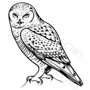 Harfang des neiges Svg I Hibou d'hiver Png I Illustration mystique de hibou des neiges pour un usage commercial, téléchargement numérique instantané, Svg et Png inclus