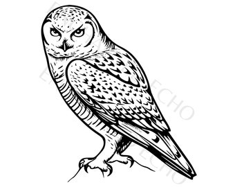 Sneeuwuil Svg I Winter Uil Png I Vector