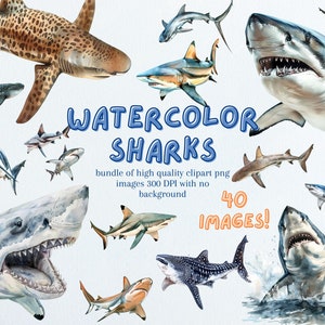 Ensemble de cliparts requin coloré - 40 PNG de requin aquarelle - Images de créatures océaniques - Collection océan sous-marine à usage commercial