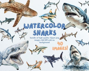Watercolor Sharks Clipart Bundle – Ocean Creature PNG Pack, Sharks Sublimation (Digital Download)