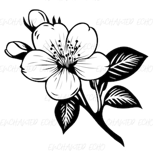 Cherry Blossom Branch SVG + PNG Set Sakura Flower Svg and Png Sakura Clipart Cherry Blossom Svg Sakura Svg Sakura Sublimation