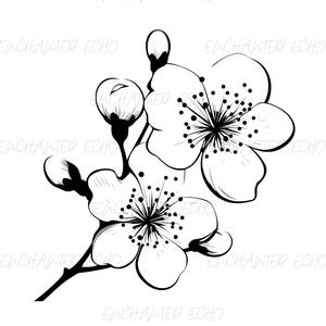 Cherry Blossom Branch SVG + PNG Set Delicate Minimalist Modern Svg Cherry Svg Sakura Svg Commercial Use Sakura Flower Svg and Png