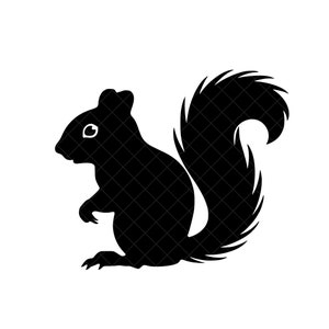 Squirrel Silhouette SVG + PNG - Woodland Animal Silhouette Svg Squirrel Svg Cute Baby Squirrel Png Forest Animal Svg Png Squirrel Clipart