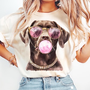 Chocolade labrador hond roze kauwgom png grappige hond meme png schattige labrador hond kauwgom zonnebril png-hond met roze zonnebril