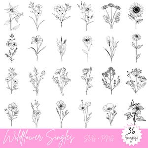 Einzelne Wildblumen Illustrationen SVG & PNG Bundle - 36 Wildblumen Bilder, 72 Dateien insgesamt - dünne Umrisse, zarte florale Skizzen