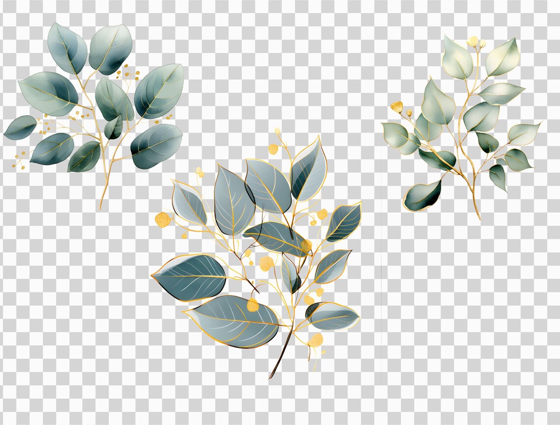 Watercolor Eucalyptus Clipart Bundle - Greenery PNG Set, Baby Shower ...