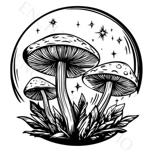 Op de afbeelding: Zwart-witte lijntekening van drie paddenstoelen die in een grasveld groeien. De paddenstoelen hebben een fantasievolle, sprookjesachtige uitstraling met een sterrenhemel op de achtergrond.