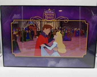 Walt Disney Sleeping Beauty Frame 17x11 inches