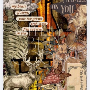 Könnte beinhalten: Eine Collage im Vintage-Stil mit einem Hirsch, Schmetterlingen und Pilzen. Der Text enthält "I PUT A SPELL ON YOU" und "Jelly Bean Gods". Das Kunstwerk verwendet Sepia-Töne und andere Farben.