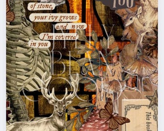 Inserto per Kindle di Amber Roads