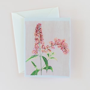 Arte del arbusto de mariposa, tarjeta de nota de flor rosa, tarjeta en blanco con sobre, pintura de acuarela botánica, tarjeta de felicitación rosa pálida, sólo porque
