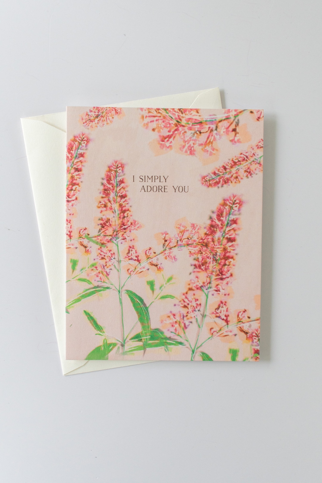 Illustrated Greeting Card, Love Cards for Her, I Simply Adore You Note Card With Envelope