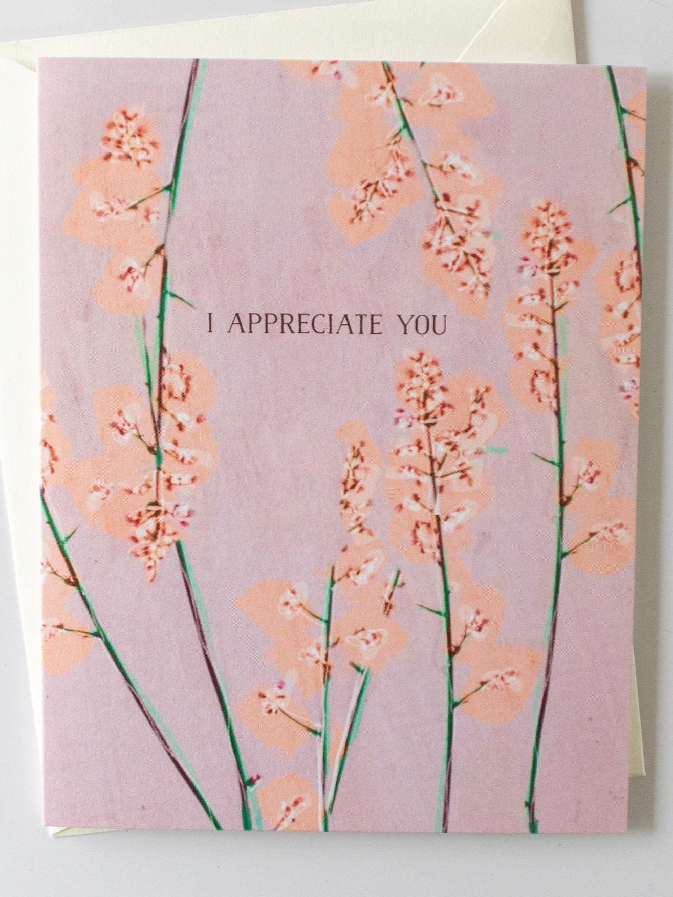 I Appreciate You Card, Friendship Note, Blank Inside