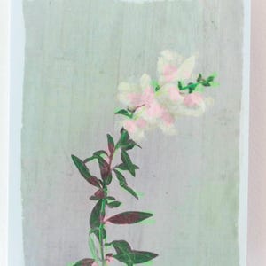Regalo de boca de dragón, tarjeta de notas con flor de boca de dragón, impresión botánica en acuarela, tarjeta de notas con flores, tarjeta de felicitación con estampado floral y sobre, bonita