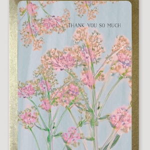 Thank You Card Boxed Set, Thank You So Much