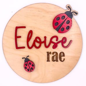 May include: A round wooden sign with the name "Eloise Rae" in red and brown lettering. Two ladybug decorations are placed on the sign. The sign is made of light-colored wood.