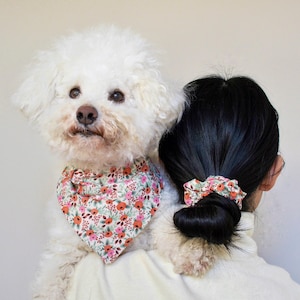 Conjunto de pañuelo y coletero floral para perro de Rifle Paper Co., accesorio a juego para el dueño.