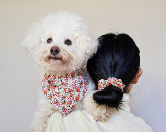 Matching Dog Bandana and Scrunchie /rifle Paper Co Over the Collar