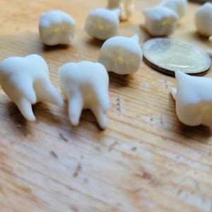 Pu&ograve; includere: Una collezione di denti in plastica bianca, alcuni con dettagli visibili, sparsi su una superficie di legno.