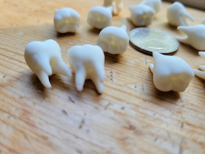 Pu&ograve; includere: Una collezione di denti in plastica bianca, alcuni con dettagli visibili, sparsi su una superficie di legno.