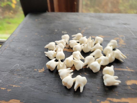 25 B-Grade Bulk Teeth! Resin Human Teeth Bead Mix! Human Molars in resin. Jewelry Supplies.
