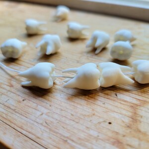 Pu&ograve; includere: Una collana di denti di plastica bianca infilati su un filo bianco. I denti sono di diverse dimensioni e forme, e alcuni hanno una leggera sfumatura giallastra.