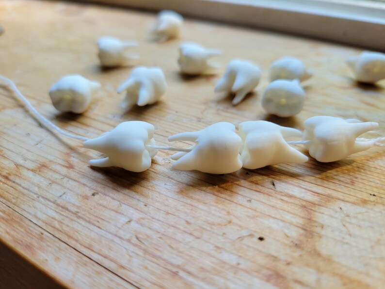 Pu&ograve; includere: Una collana di denti di plastica bianca infilati su un filo bianco. I denti sono di diverse dimensioni e forme, e alcuni hanno una leggera sfumatura giallastra.
