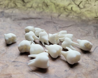 14 Human Teeth! Faux teeth white Resin teeth, jewelry supplies, curio, oddity witchy human molars, goth broth, bulk teeth, cosplay teeth