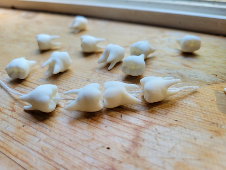Pu&ograve; includere: Una collana di perline bianche a forma di dente su una superficie di legno. Le perline sono infilate su un filo bianco.