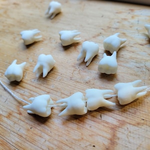 Pu&ograve; includere: Una collana di perline bianche a forma di denti infilate su un filo bianco. Le perline sono disposte in fila e sono tutte rivolte nella stessa direzione. Ci sono anche diverse perline sciolte sparse intorno alla collana.